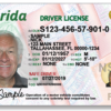 Florida driver's licenses