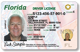 Florida driver's licenses
